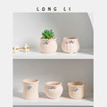 Succulent Flower Pot Decoration Living Room Home Decoration Succulent...