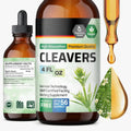 60ml lymphatic drainage drops