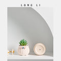 Succulent Flower Pot Decoration Living Room Home Decoration Succulent...