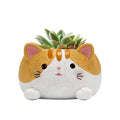 Kitty succulent plant balcony decoration flower pot