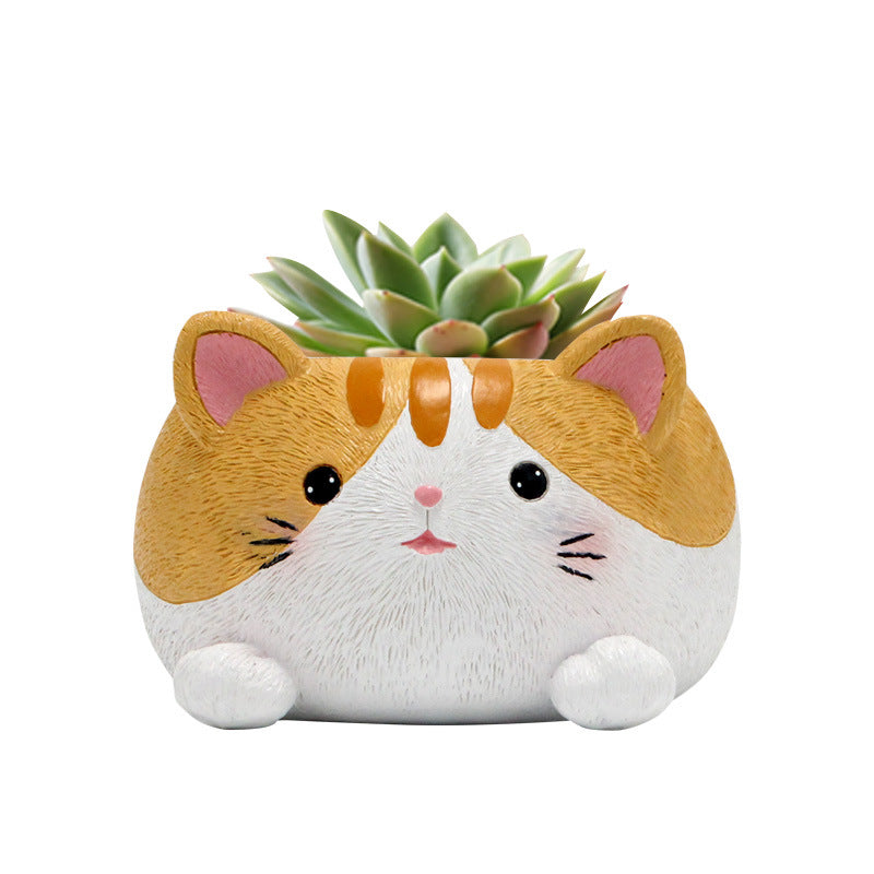 Kitty succulent plant balcony decoration flower pot