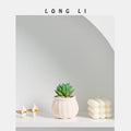Succulent Flower Pot Ornaments Home Decoration Succulent Flower Pot...