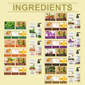 Plant Body Essential Oil (Peppermint Oil)