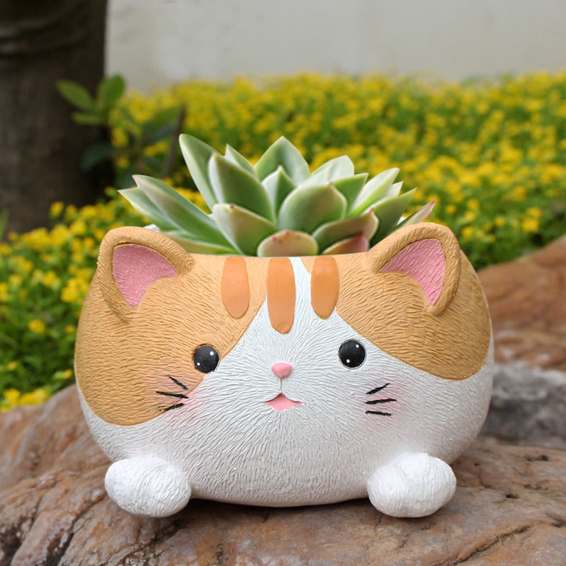 Kitty succulent plant balcony decoration flower pot