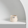 Succulent Flower Pot Decoration Living Room Home Decoration Succulent...
