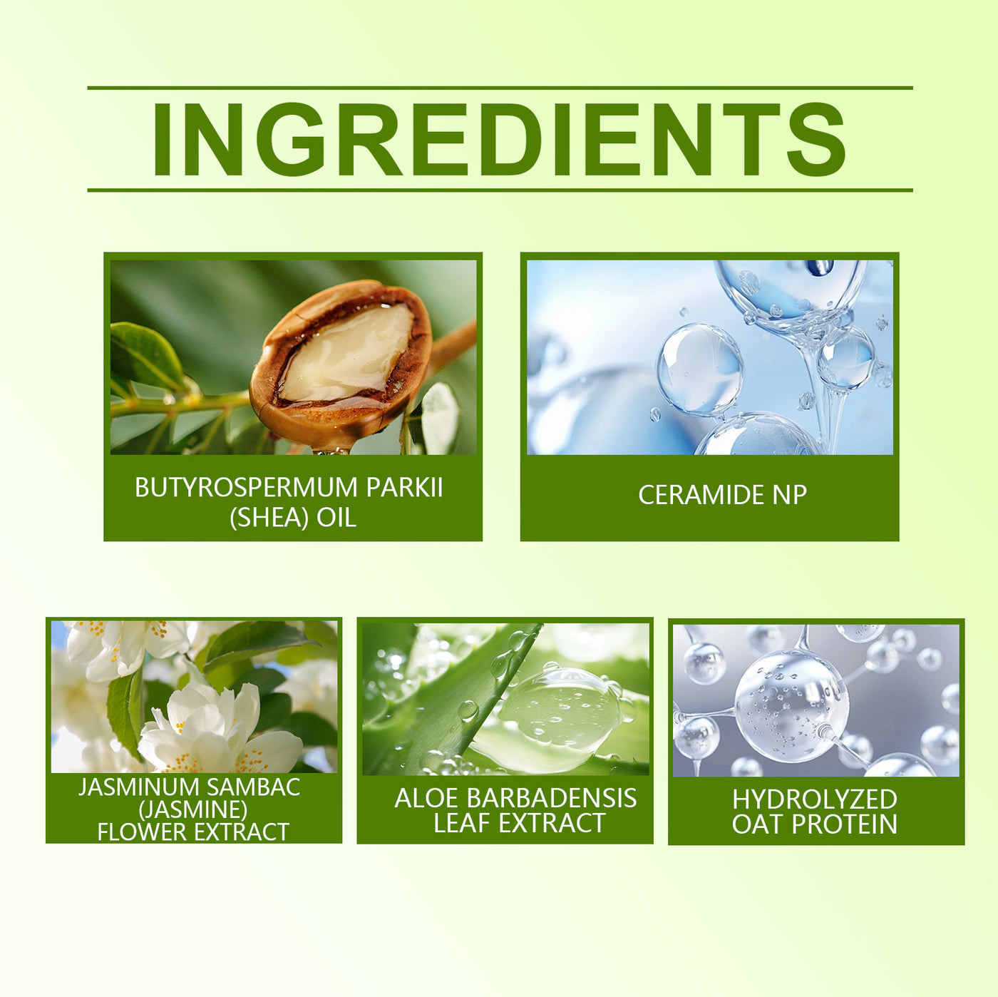Jasmine Moisturizing Body Lotion
