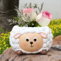 Lamb succulent plant tabletop decoration small flower pot