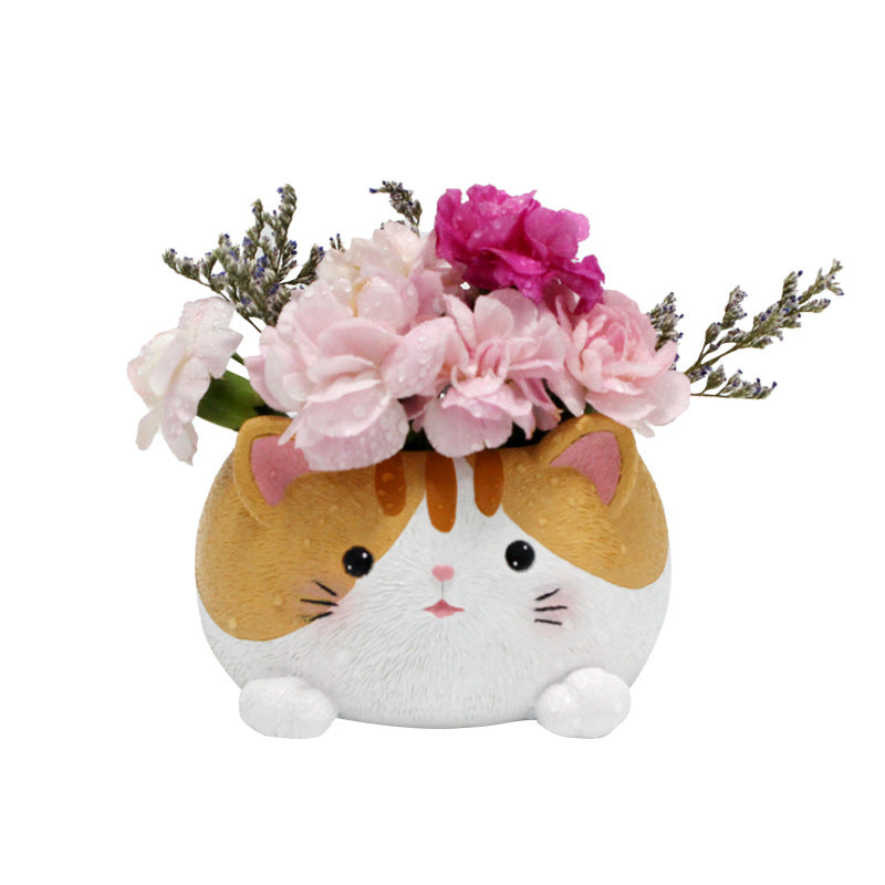 Kitty succulent plant balcony decoration flower pot