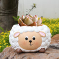Lamb succulent plant tabletop decoration small flower pot