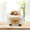 Lamb succulent plant tabletop decoration small flower pot