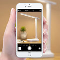 Folding Reading Lamp