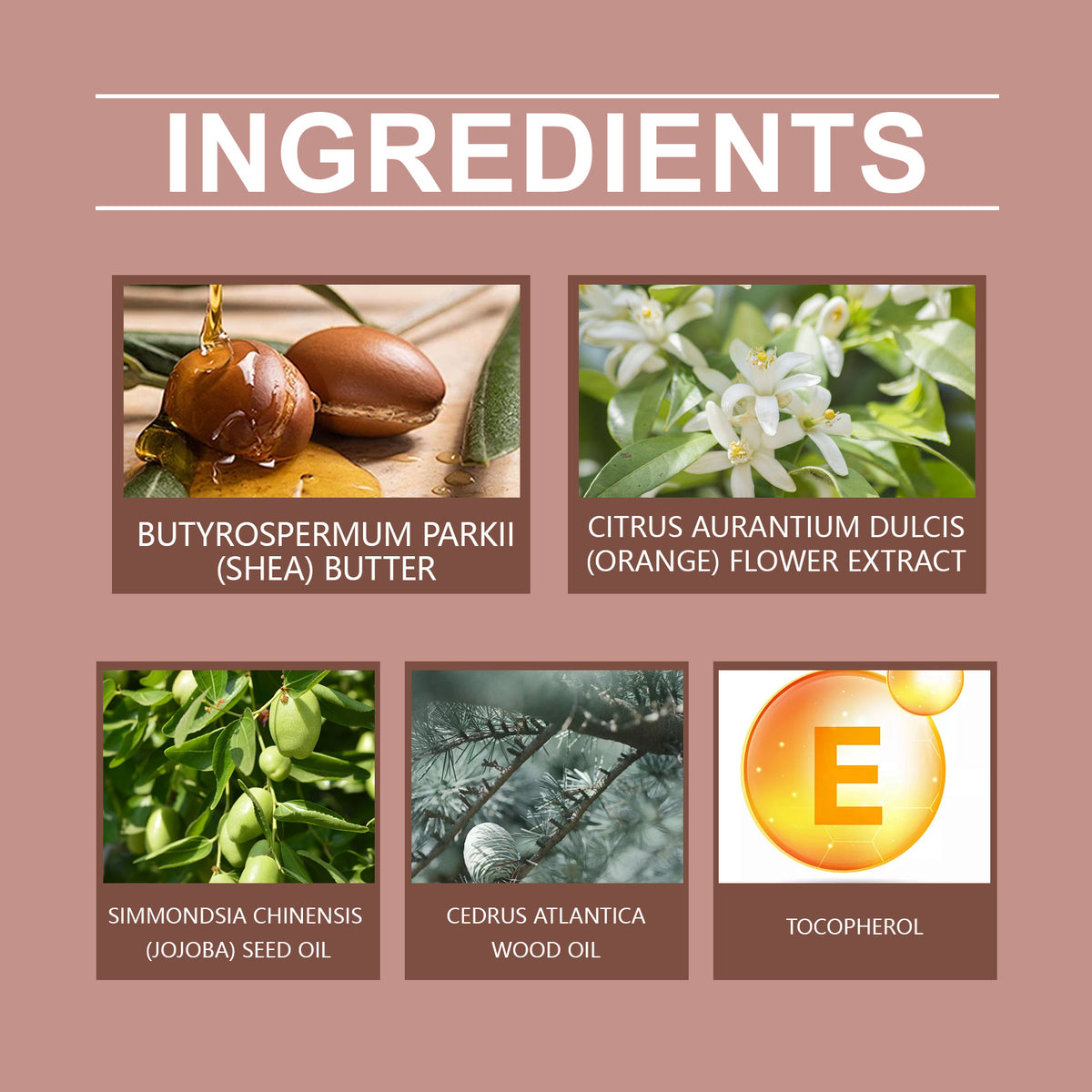 Body Moisturizer, Cologne Body Hydrating Moisturizer Gently Moisturizes The Skin