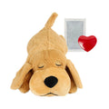 Heartbeat Comfort Companion