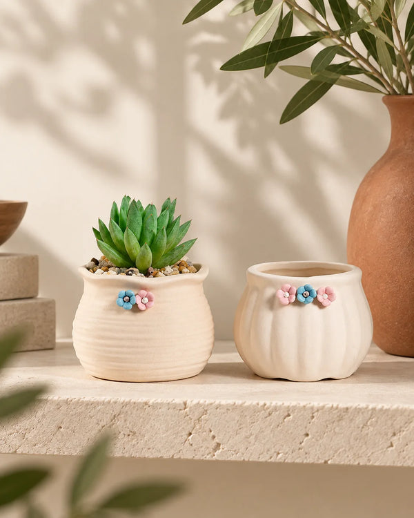 Succulent Flower Pot Decoration Living Room Home Decoration Succulent Flower Pot Wholesale Gardening Flower Pot Green Plant Potted Plant